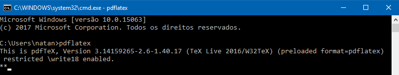 Prompt exibindo com sucesso a execução do programa pdflatex